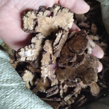 川芎产地直供支持线上交易各种规格承接订单不包邮