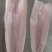 黑鱼柳鲜冻黑鱼片原味黑鱼片黑鱼鱼肉酸菜鱼免漿黑魚片