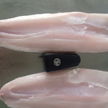 黑鱼柳鲜冻黑鱼片原味黑鱼片黑鱼鱼肉酸菜鱼免漿黑魚片