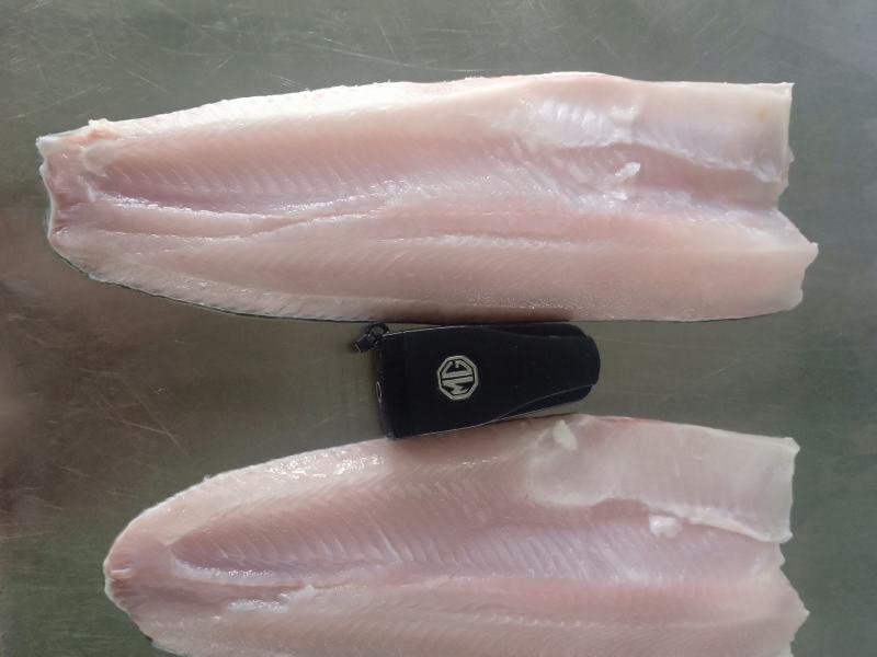 黑鱼柳鲜冻黑鱼片原味黑鱼片黑鱼鱼肉酸菜鱼免漿黑魚片