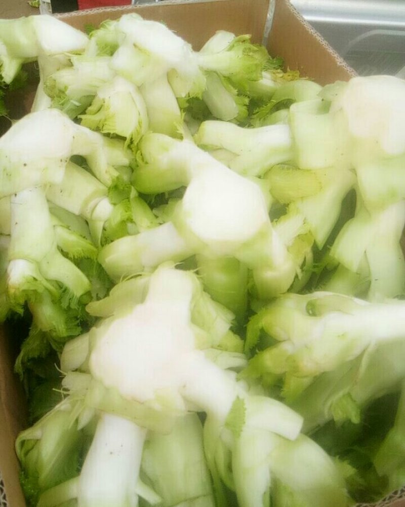 儿菜，万亩基地大量上市，一手货源产地直销直发