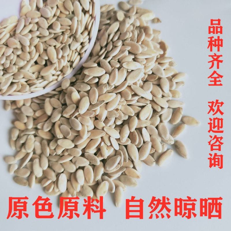 精选甜瓜子可打粉大量批发一手货源找货品代理