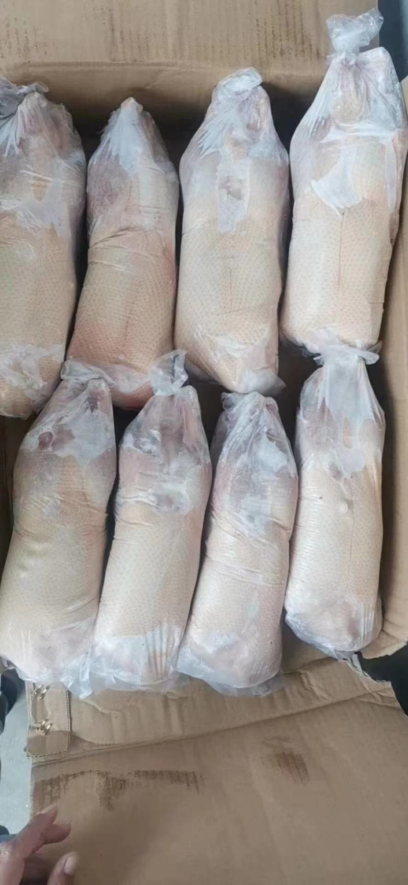 白条鸭1700-2200单独套袋