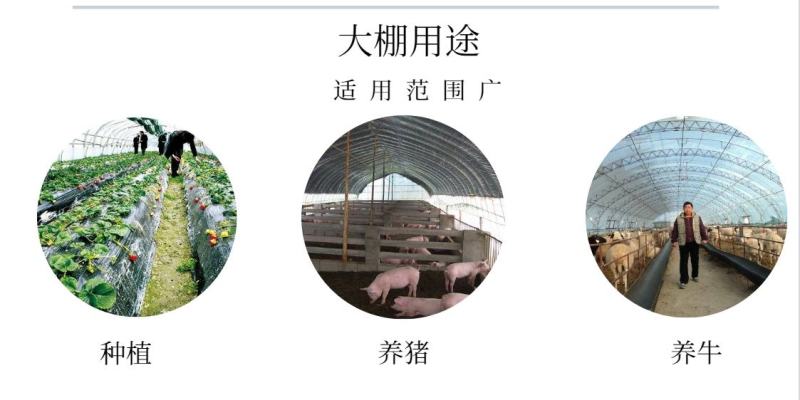 全套温室大棚纹络式连栋温室大棚连栋大棚骨架厂家直销免费设