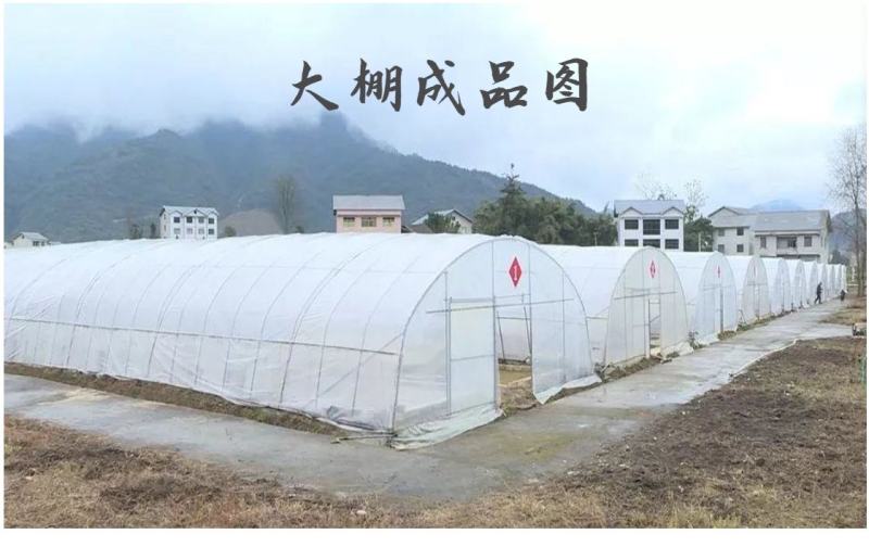 全套温室大棚纹络式连栋温室大棚连栋大棚骨架厂家直销免费设