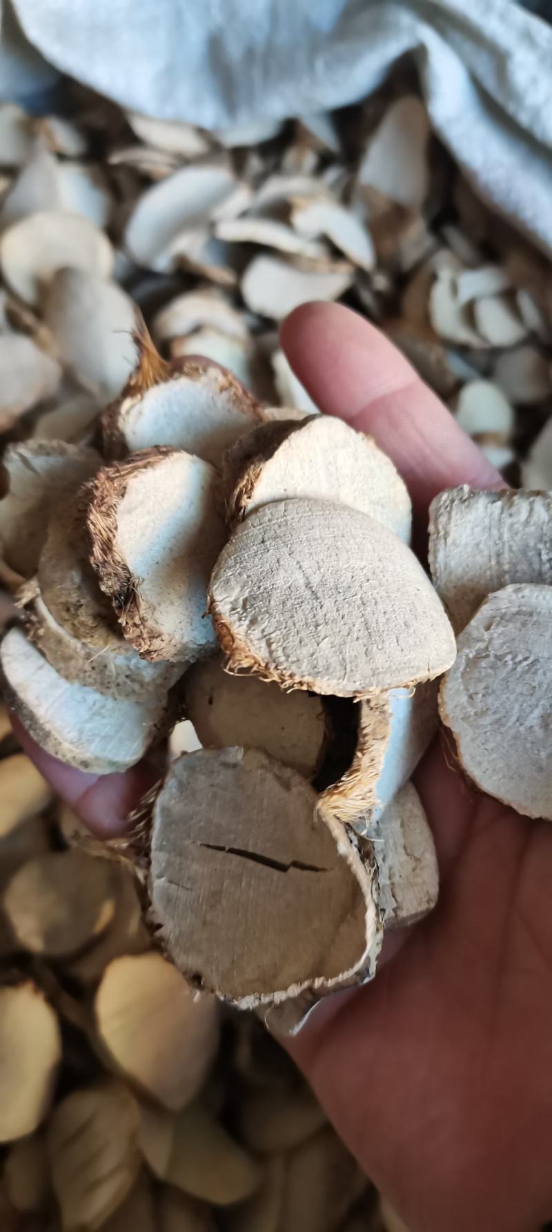 三棱三菱荆三棱京三棱干货农产品一公斤起批