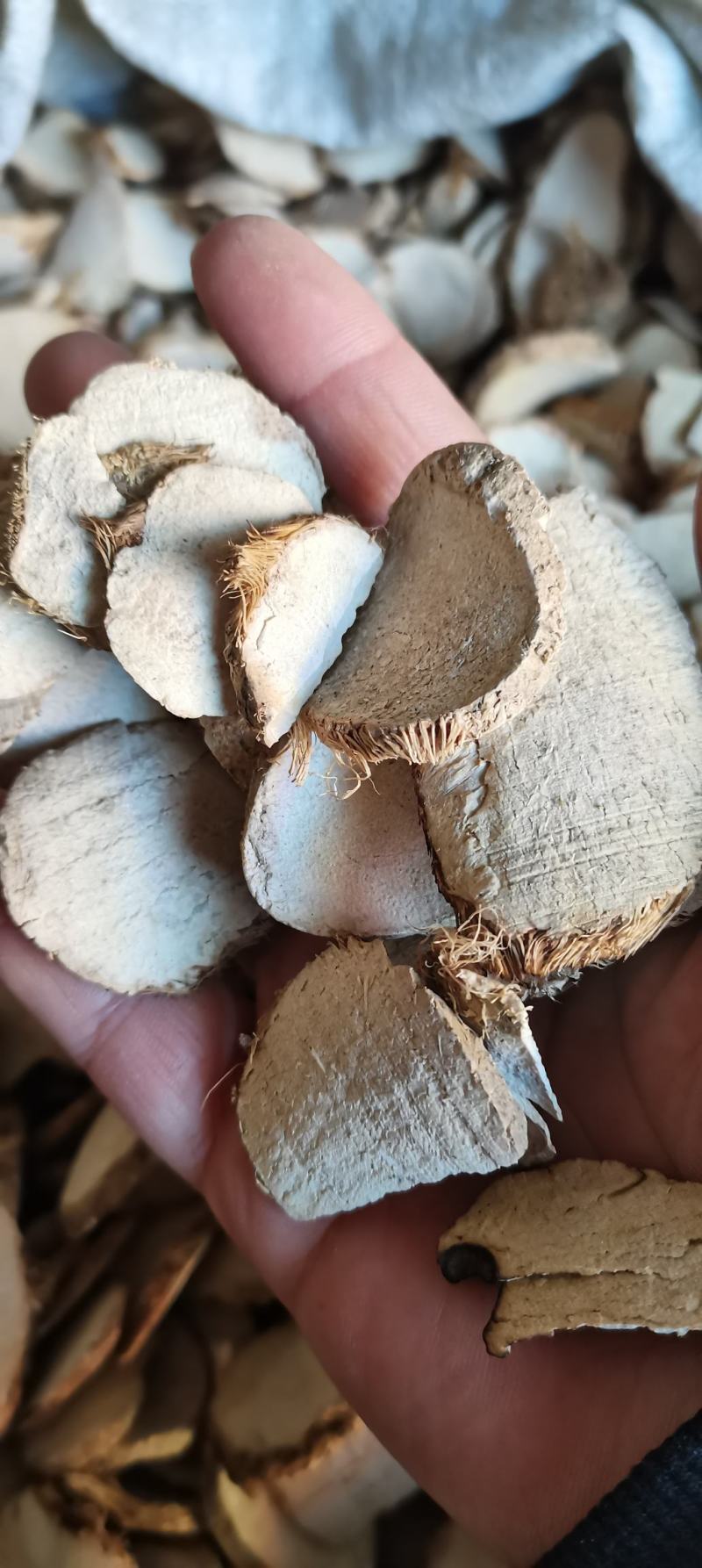 三棱三菱荆三棱京三棱干货农产品一公斤起批