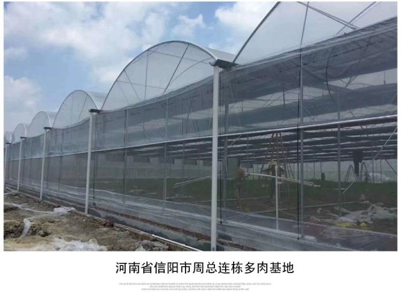 成套大棚大棚出租大棚管材镀锌管厂家直销免费设计