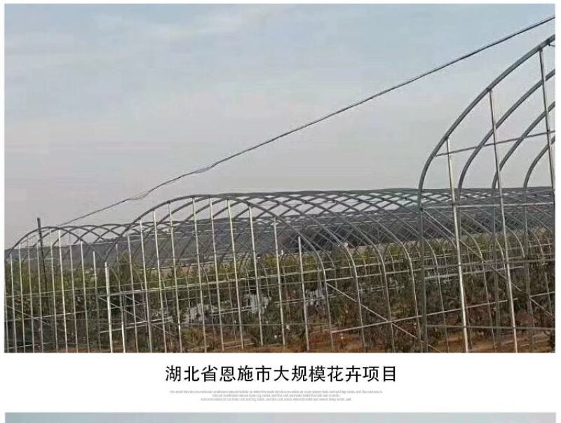成套大棚大棚出租大棚管材镀锌管厂家直销免费设计