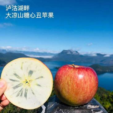 2023大凉山冰糖心丑苹果发货啦脆甜多汁每个有糖心