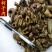 炒壳子肉柯子肉货好量大不满意保退换
