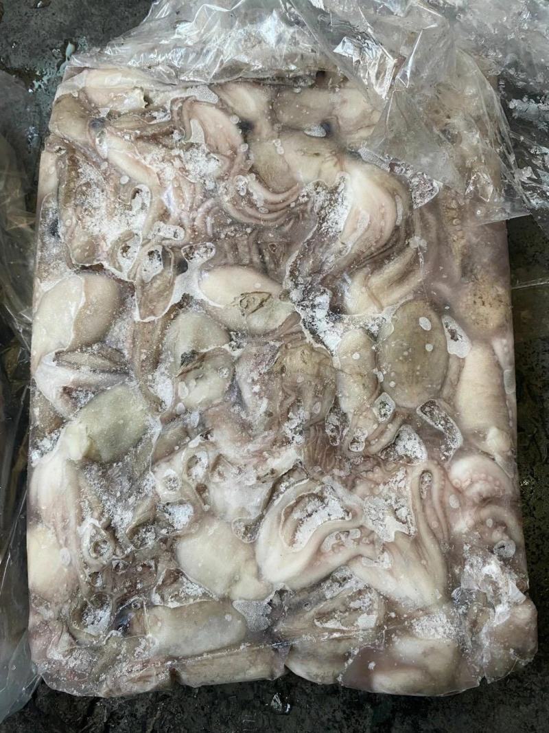 章鱼八爪鱼印尼泰国50/100