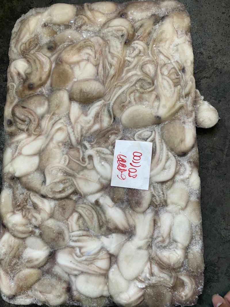 章鱼八爪鱼印尼泰国50/100