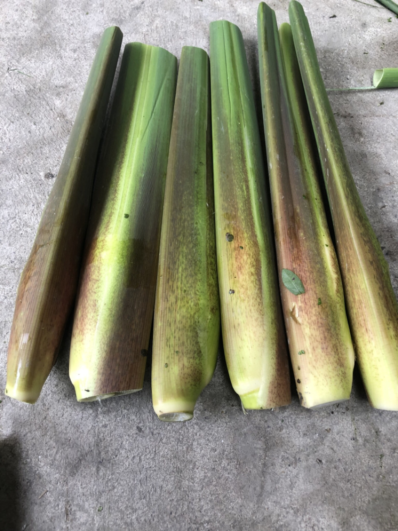 德清供应大量双季茭白
