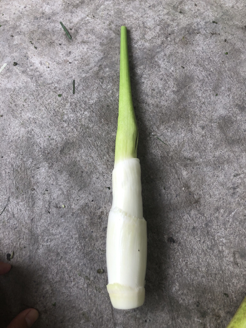 德清供应大量双季茭白
