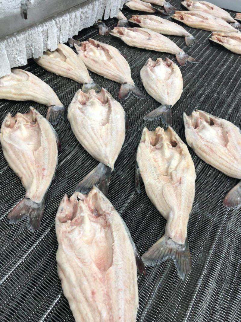 巴沙鱼，国产自养殖加工，厂家一手货源