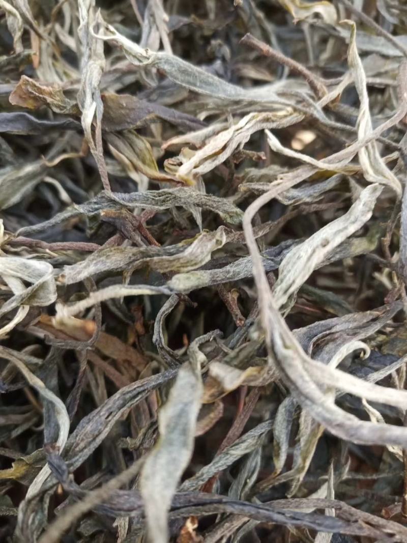 古树茶、大树茶、野生红茶