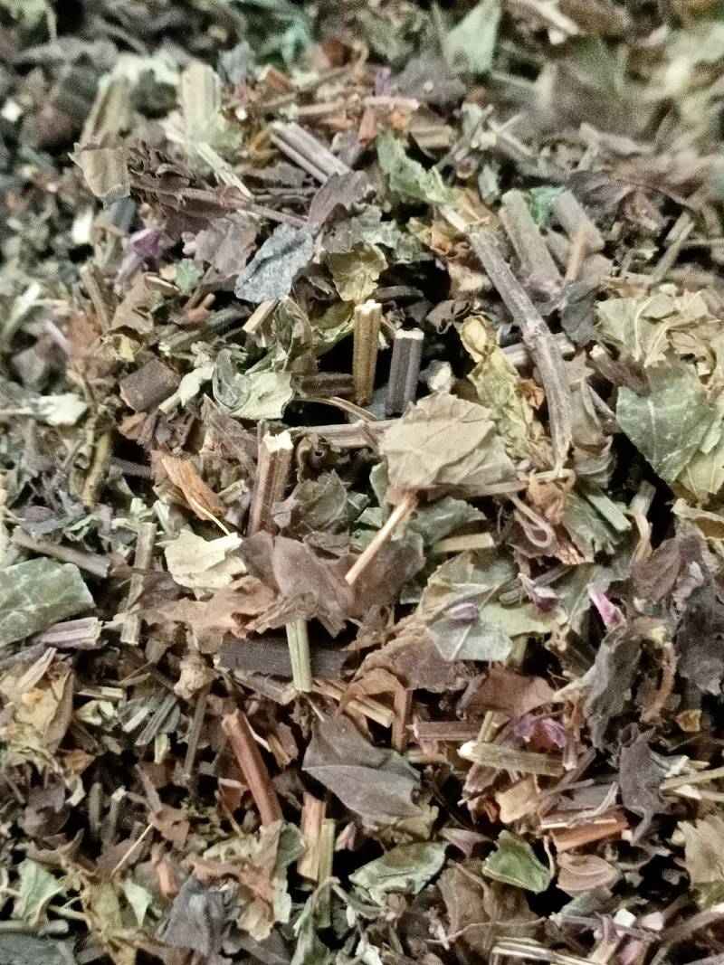 石见穿中药材店铺紫参石打穿月下红新鲜干货