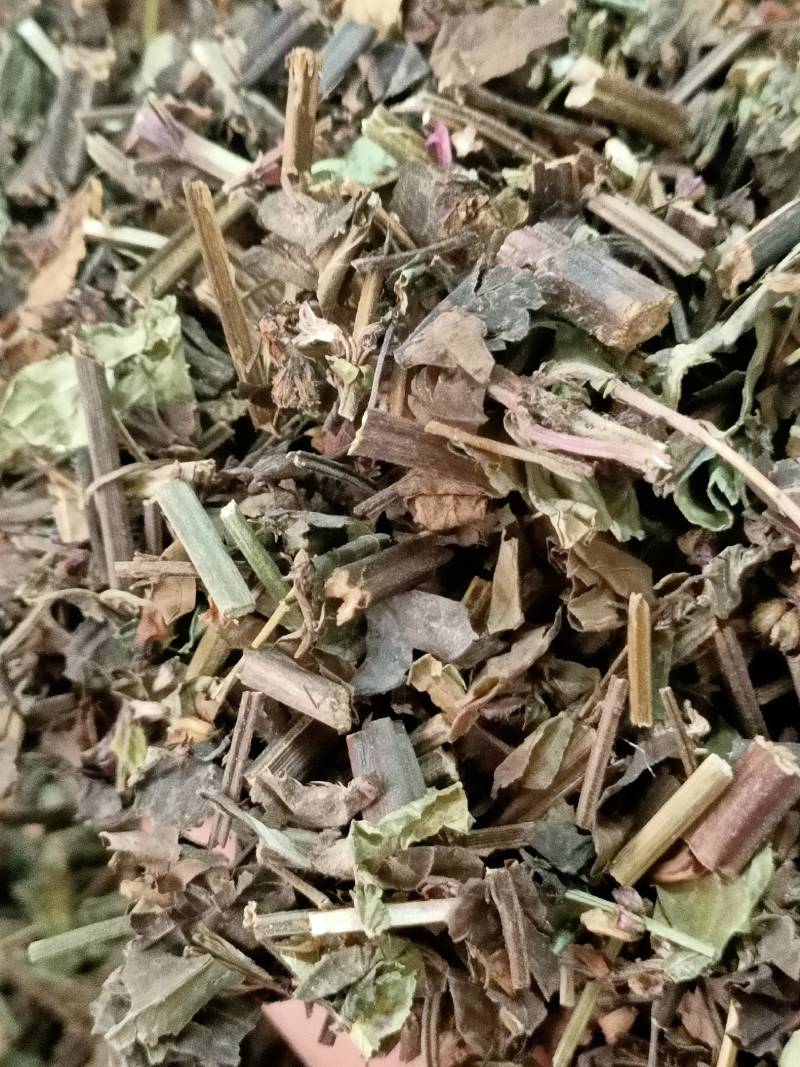 石见穿中药材店铺紫参石打穿月下红新鲜干货