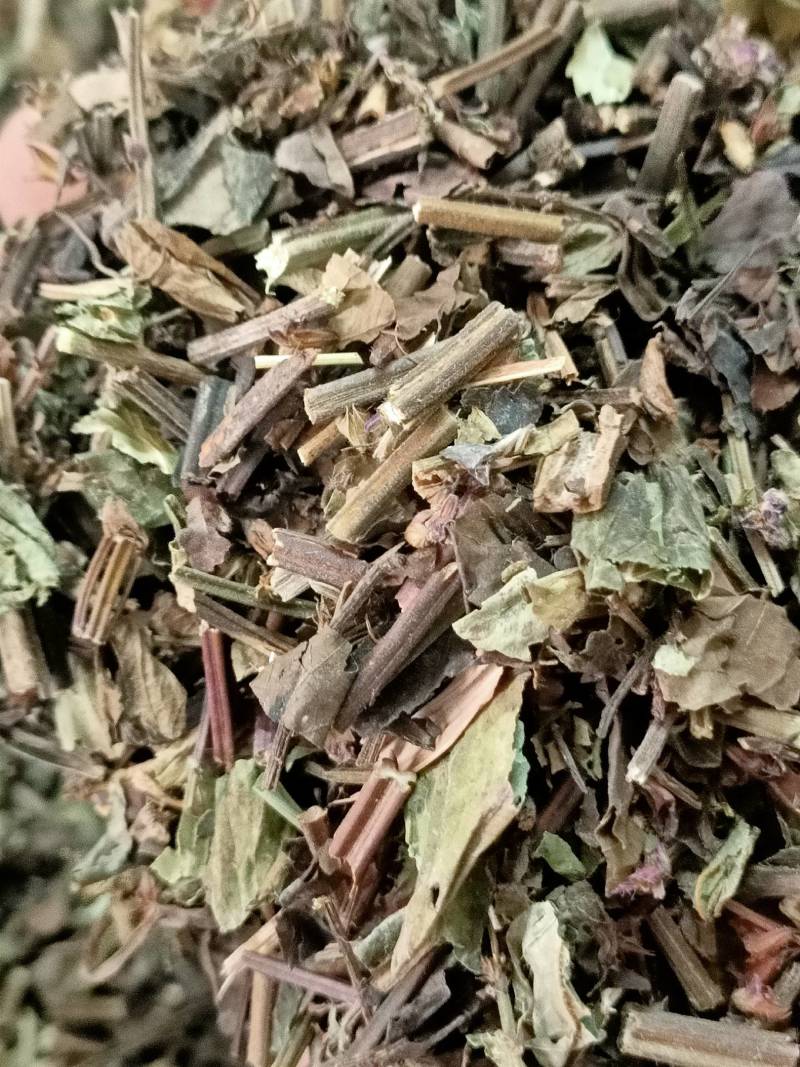 石见穿中药材店铺紫参石打穿月下红新鲜干货