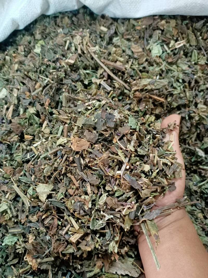 石见穿中药材店铺紫参石打穿月下红新鲜干货