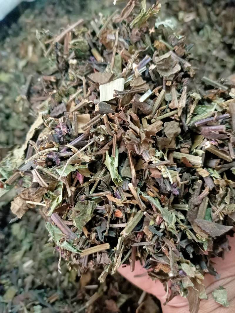 石见穿中药材店铺紫参石打穿月下红新鲜干货