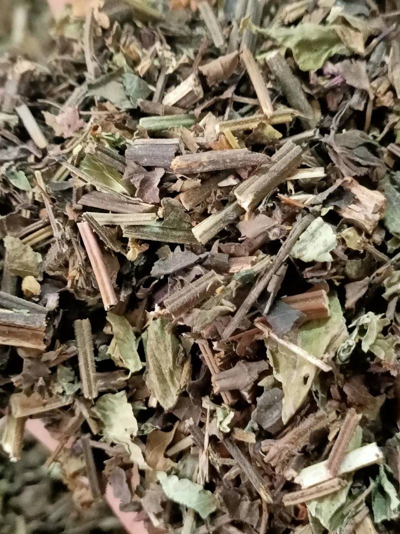 石见穿中药材店铺紫参石打穿月下红新鲜干货