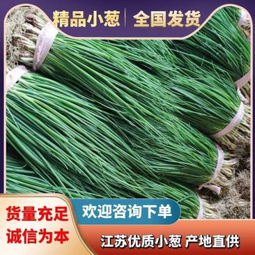 优质小葱，江苏大丰产地直供量大从优欢迎新老朋友前来订购！