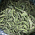 精品速冻毛豆荚工厂直发质量保证