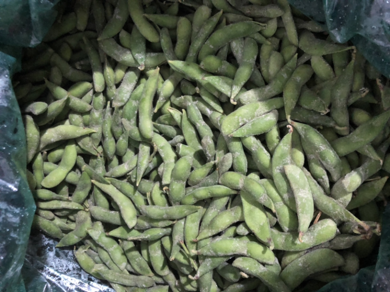 精品速冻毛豆荚工厂直发质量保证