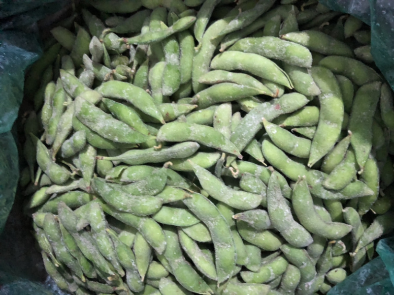 精品速冻毛豆荚工厂直发质量保证