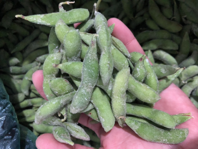 精品速冻毛豆荚工厂直发质量保证