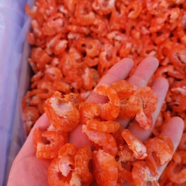 南美白对虾海米，淡干大虾仁，厂家发货，资质齐全