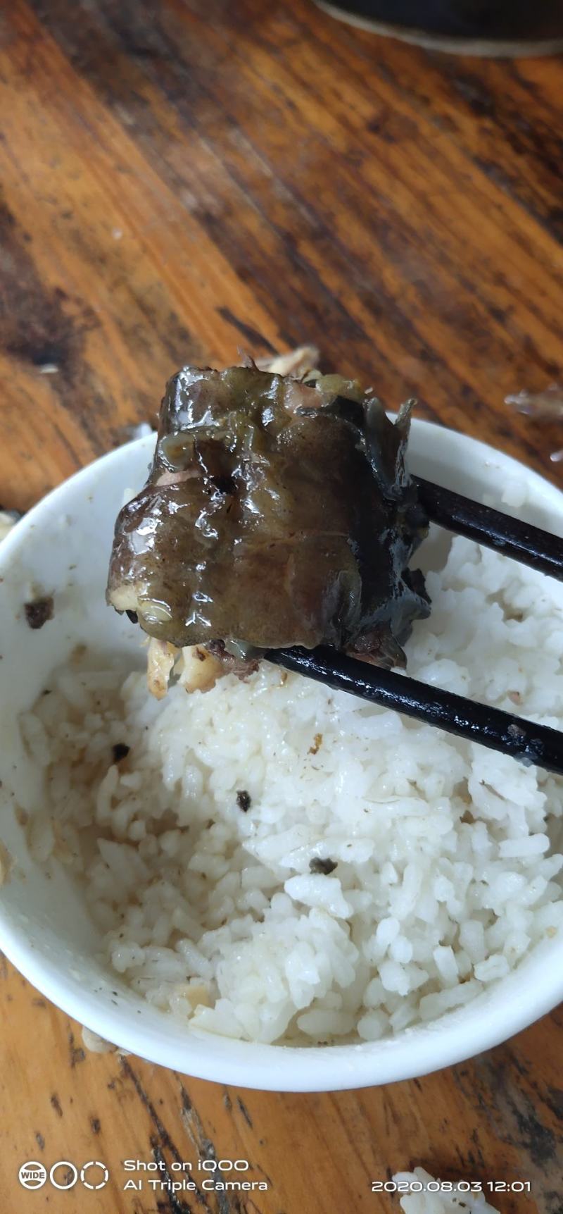 塘角鱼，塘鳃鱼，出售，喂虫子的鱼，有谁要的