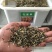 孔雀草花种子混色重瓣草花种子庭院室外景观花卉四季易种花种