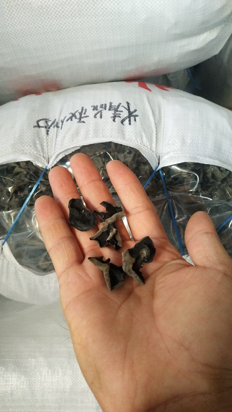 正宗东北吉林农家手工摘来精品大棚黑山秋耳