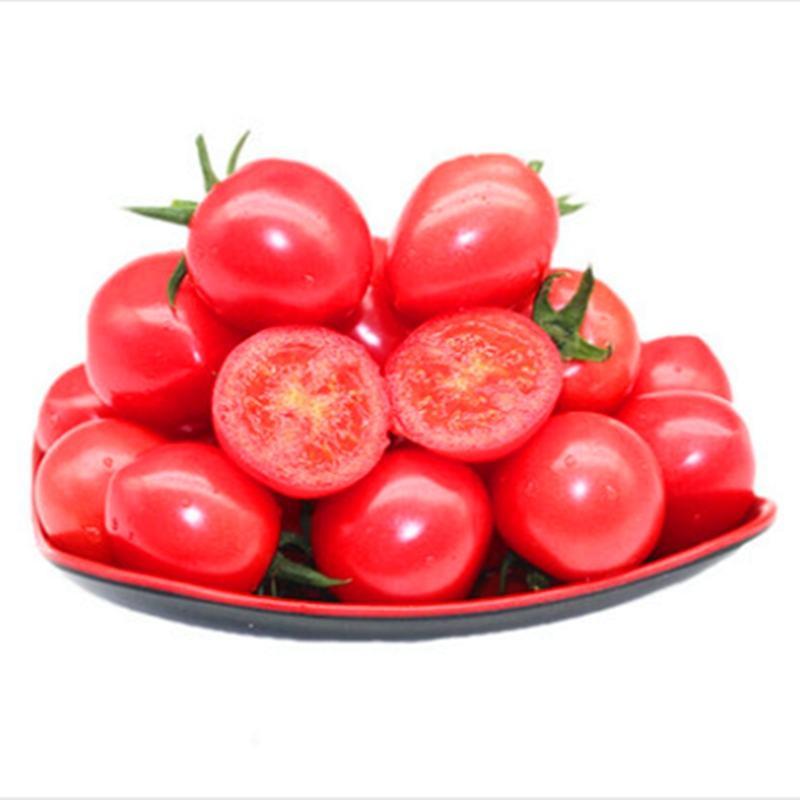 圣女果种子釜甜88樱桃番茄种籽玲珑果甜度高口感好釜