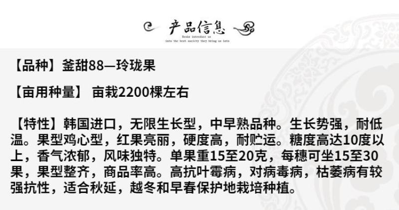 圣女果种子釜甜88樱桃番茄种籽玲珑果甜度高口感好釜