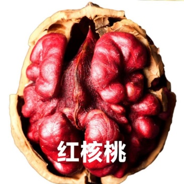 核桃薄皮核桃手捏即开薄皮核桃天然干果老少皆宜包邮
