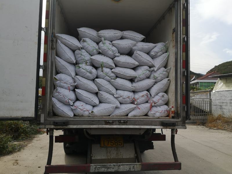 河北迁西3113栗子产地直销一手货源质量保证全国发货