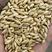 大麦带壳大麦做酒大麦精选大麦饲料大麦50斤装