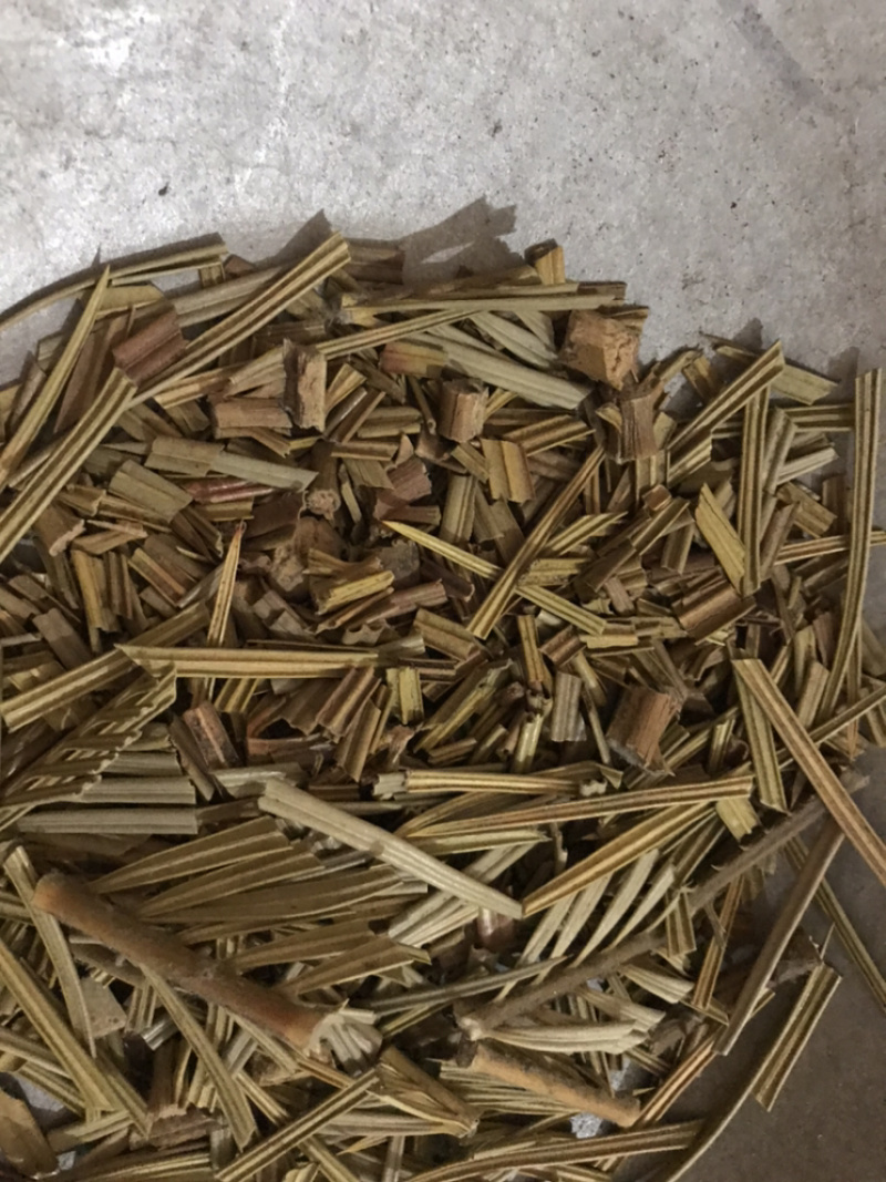 铁树叶苏铁叶保庆药业批发中药材铁树叶实物拍摄！