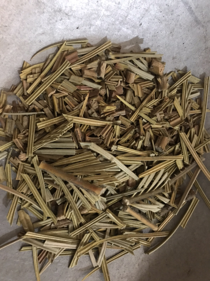 铁树叶苏铁叶保庆药业批发中药材铁树叶实物拍摄！