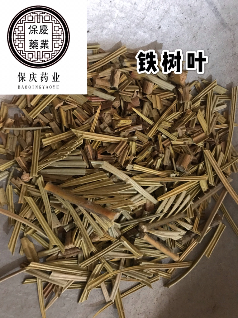 铁树叶苏铁叶保庆药业批发中药材铁树叶实物拍摄！