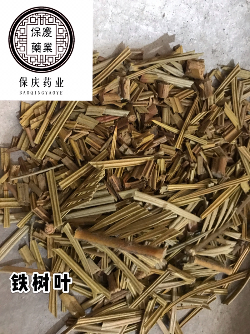 铁树叶苏铁叶保庆药业批发中药材铁树叶实物拍摄！