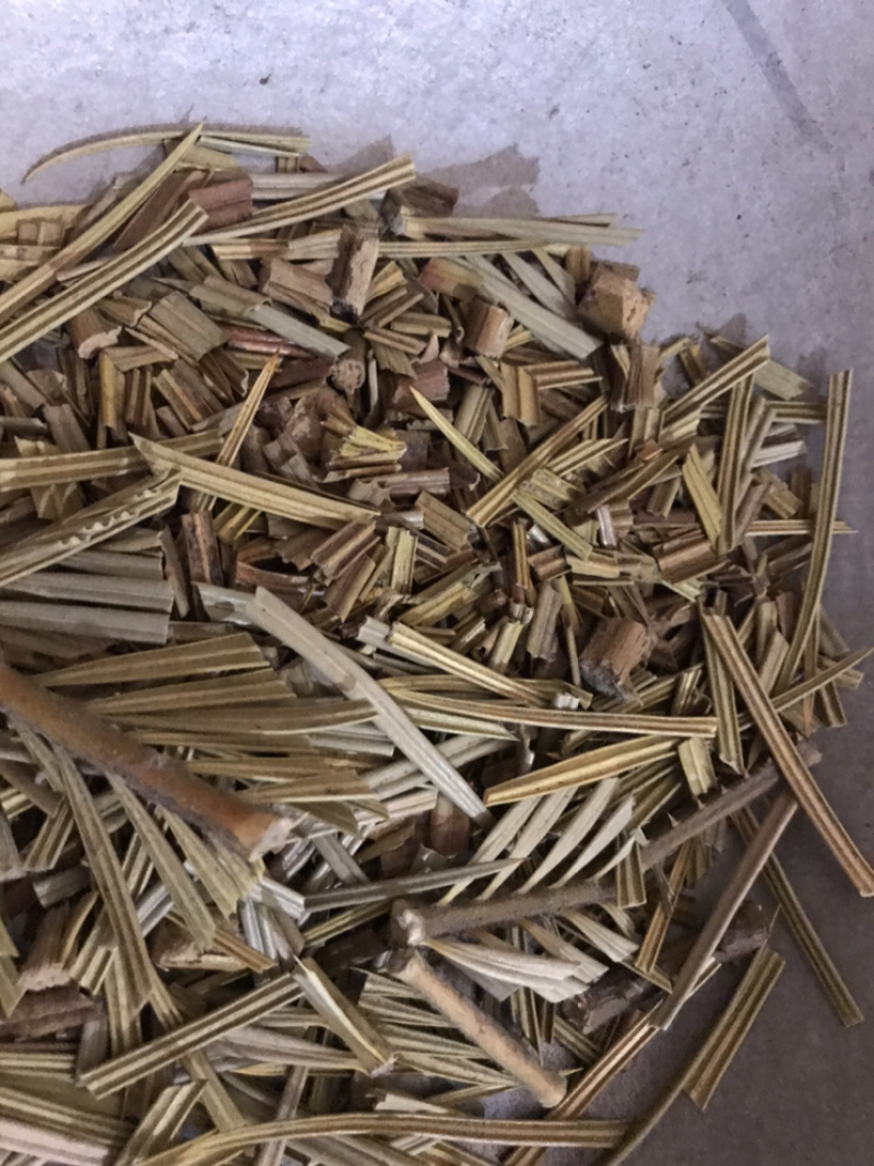 铁树叶苏铁叶保庆药业批发中药材铁树叶实物拍摄！