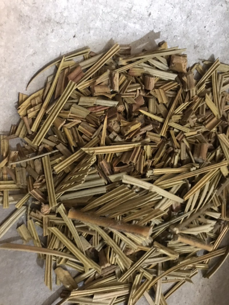 铁树叶苏铁叶保庆药业批发中药材铁树叶实物拍摄！