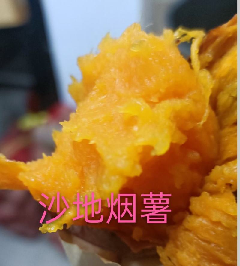 烟薯25烤红薯农家自产自销