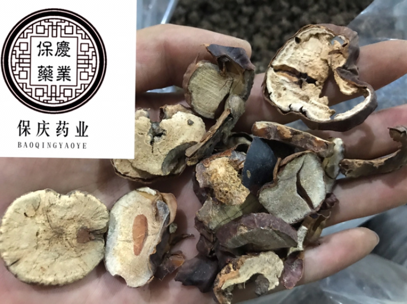 娑罗子婆罗子梭罗子娑罗果实物拍摄发货如图