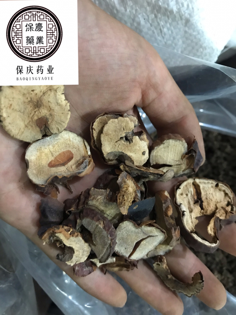 娑罗子婆罗子梭罗子娑罗果实物拍摄发货如图
